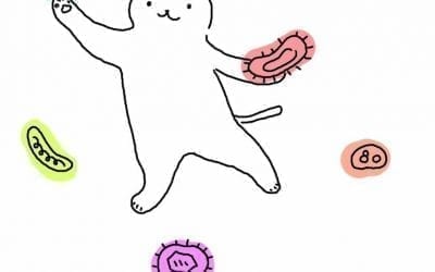 Kako štiti tvoje tijelo?